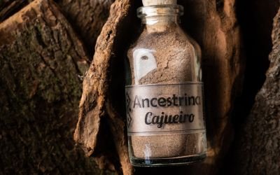 bufo vs kambó, Bufo y Kambó, Diferencias Clave: Explorando sus Orígenes y Efectos