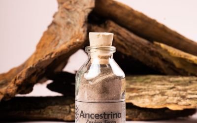 rapé nariz, Rapé: La Medicina Nasal de los Pueblos Indígenas de la Amazonía