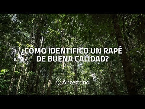 Miniatura del video: How can you tell if rapé is high quality?