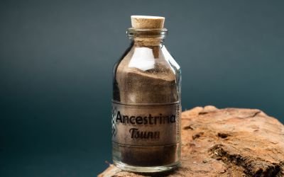 animal de poder Cuervo, El Cuervo como Animal de Poder: Sabiduría, Misterio y Transformación