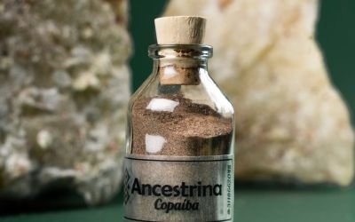 Polvo natural de Copaiba Ancestrina en frasco de vidrio con tapa de madera &mdash; extracto org&aacute;nico premium utilizado para el cuidado de la piel, el bienestar y la aromaterapia