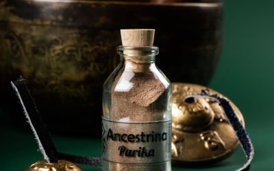 Ayahuasca droga, Ayahuasca: ¿Medicina Ancestral o Droga? Un Análisis Profundo