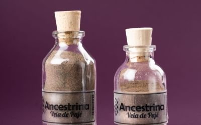 peyote mexico, Peyote: La Planta Sagrada de Poder de México Dos frascos de vidrio etiquetados como “Ancestrina Veia de Pajé” llenos de polvo natural fino — extracto herbal orgánico utilizado en ceremonias espirituales, sanación y bienestar natural.